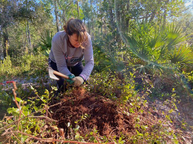 UCF Arboretum and SORBA-Orlando start building mountain bike trails